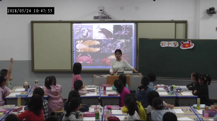 苏少版美术二上《第13课虾和蟹（一）》江苏张老师-县级优课