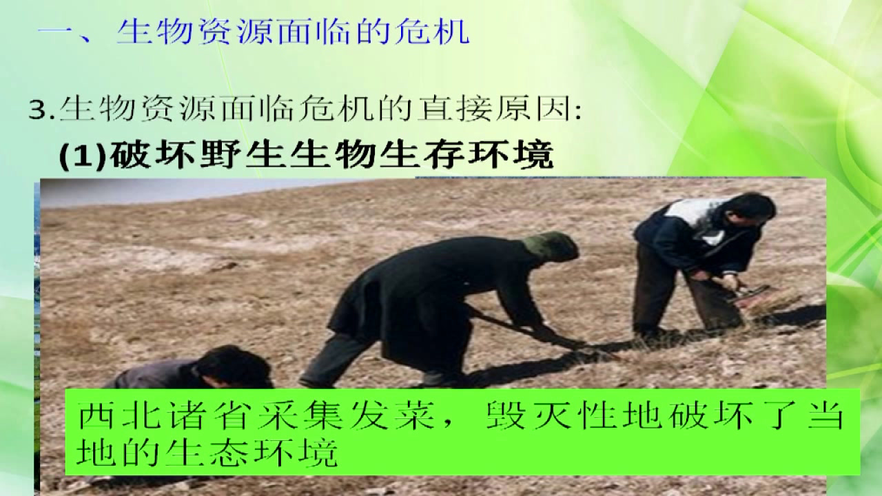 人教版生物选修2《第3节　关注生物资源的合理利用》黑龙江老师-县级优课