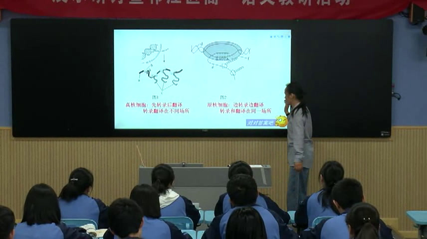 苏教版生物必修1《原核细胞和真核细胞》江苏老师-