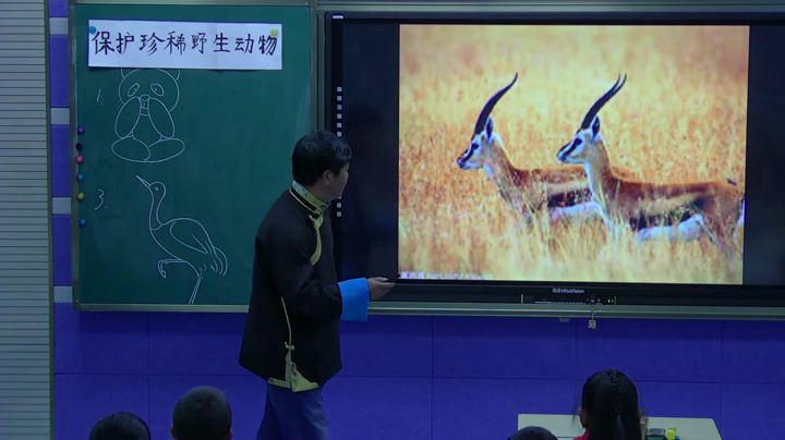人教版美术三下《第19课保护珍稀野生动物》西藏民老师-市一等奖