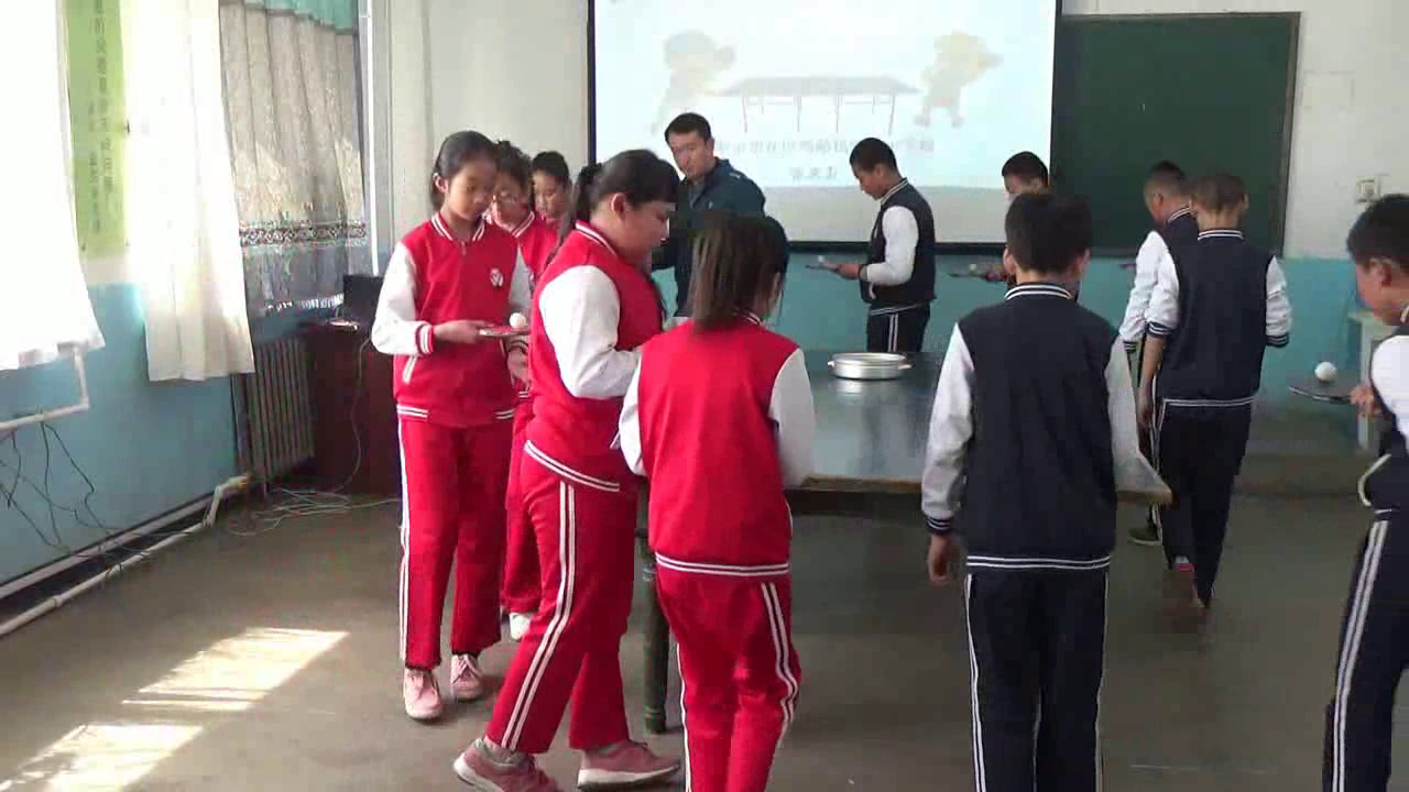 人教2011版体育与健康五至六年级《5.发展乒乓球活动，》辽宁老师-市一等奖