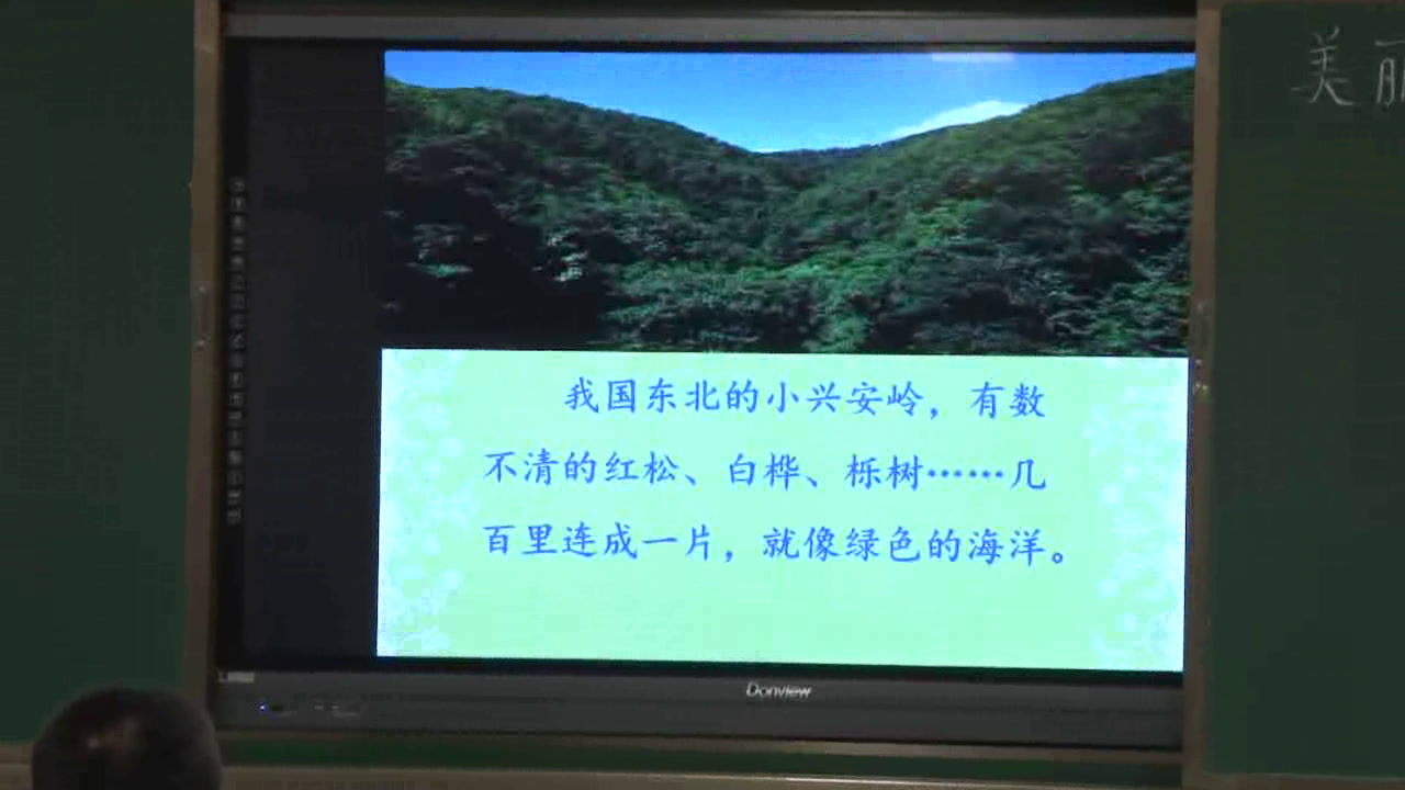 部编版语文三上《20美丽的小兴安岭》安徽操老师-市一等奖