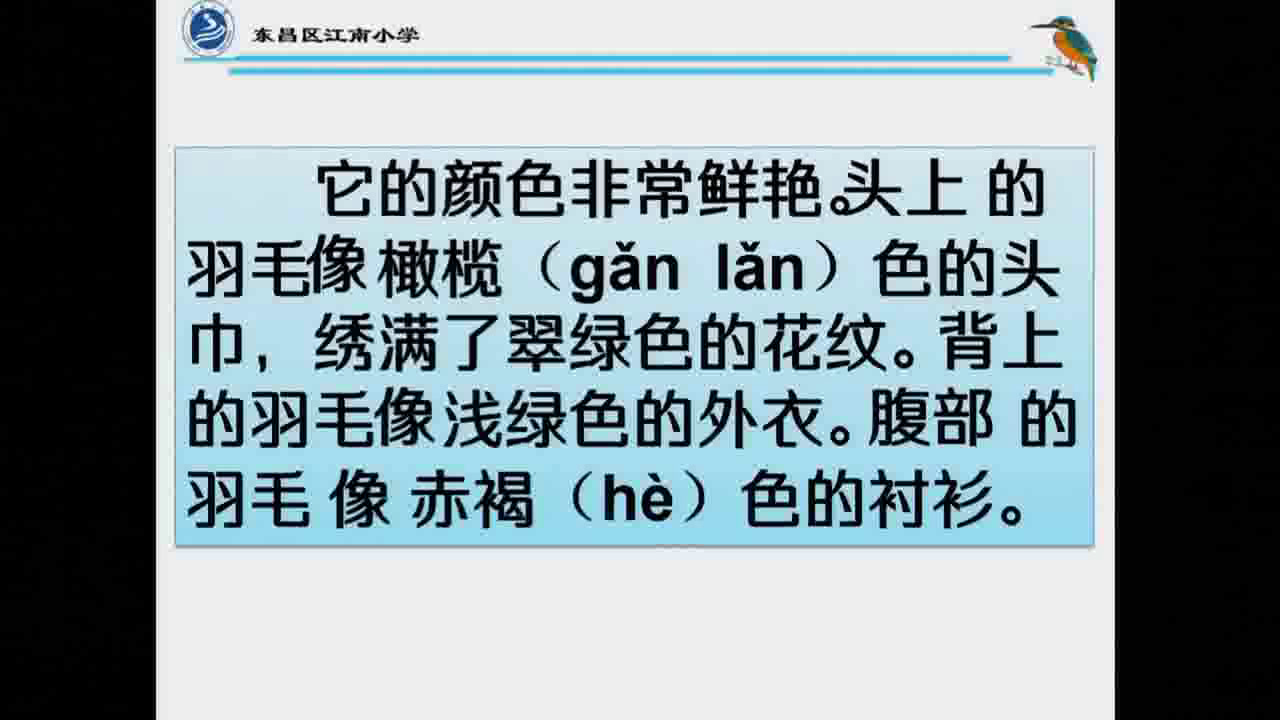 部编版语文三上《15搭船的鸟》吉林李老师-市一等奖