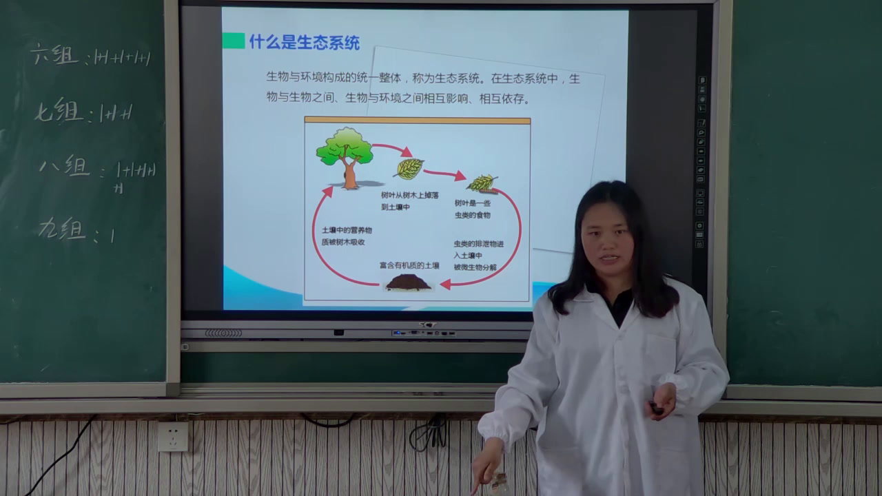 教科版科学五上《做一个生态瓶》贵州林老师-市一等奖