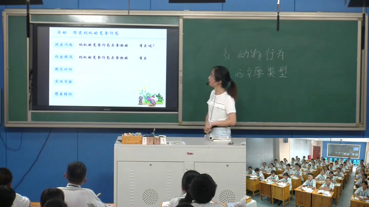苏教版生物八上《第二节动物行为的生理基础》江苏老师-县级优课