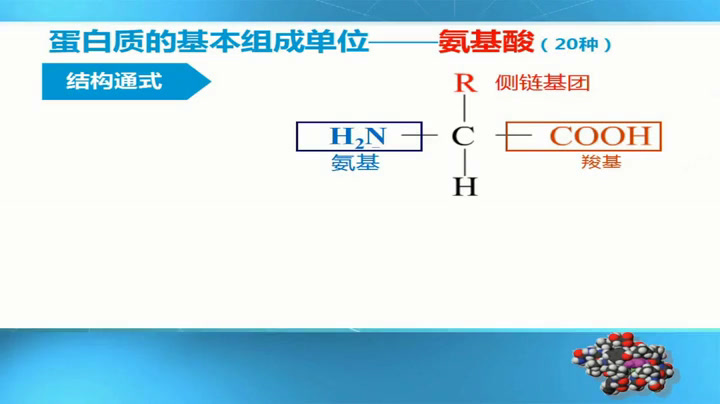 人教版生物必修1《第2节　生命活动的主要承担者》福建林老师-省一等奖