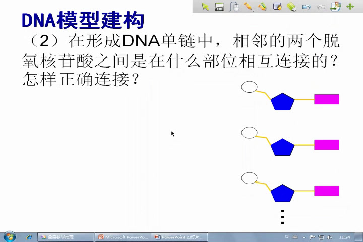 人教版生物必修2《第2节　DNA分子的结构》黑龙江何老师-省一等奖
