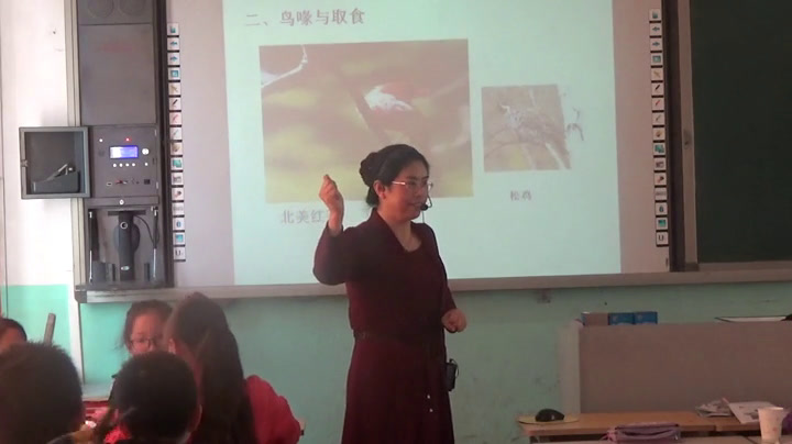 冀人2001版科学六上《3鸟类动物的特征》河北李老师-县级优课