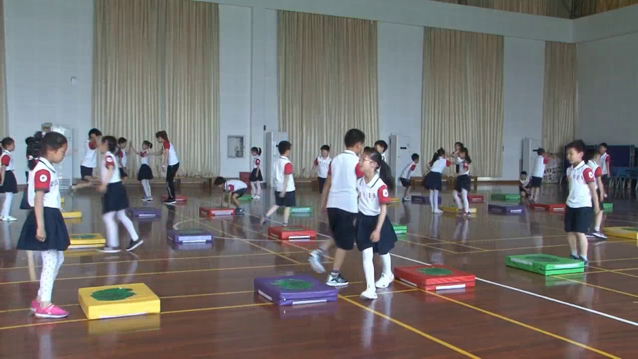 一二年级体育《身体活动-各种基本跳跃方法》上海张老师-全国一等奖