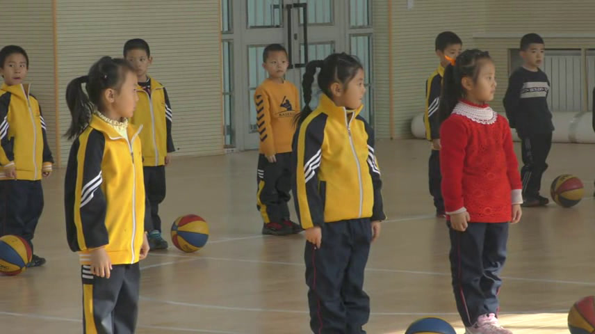 一二年级体育《小篮球》新疆王老师-省一等奖