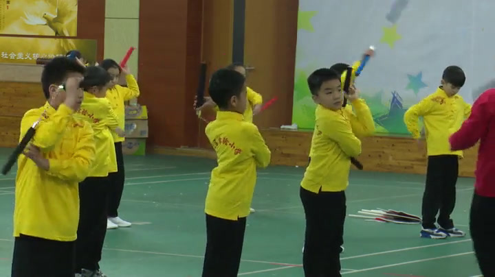体育三四年级《武术-基本功和动作组合》上海王老师-全国一等奖