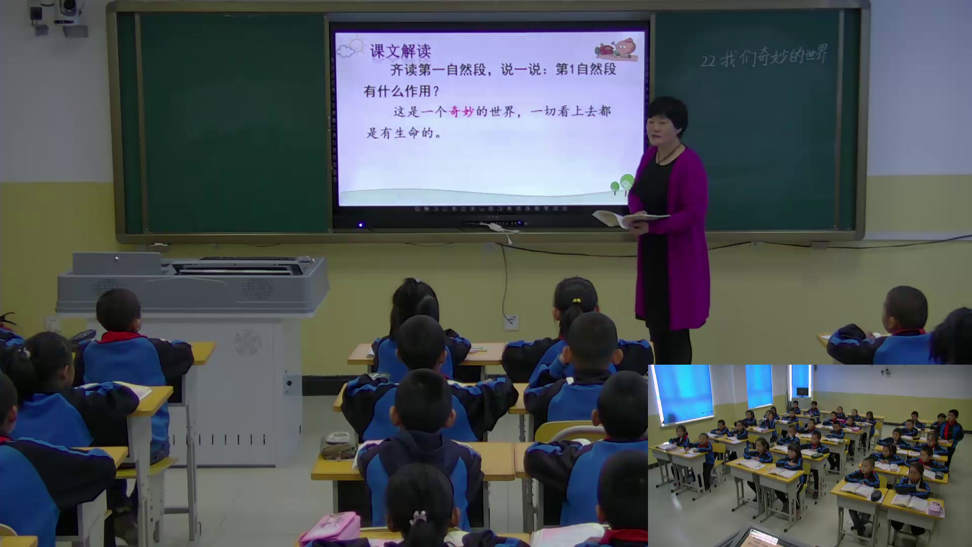 部编版小学语文三下《22我们奇妙的世界》新疆周老师-省一等奖