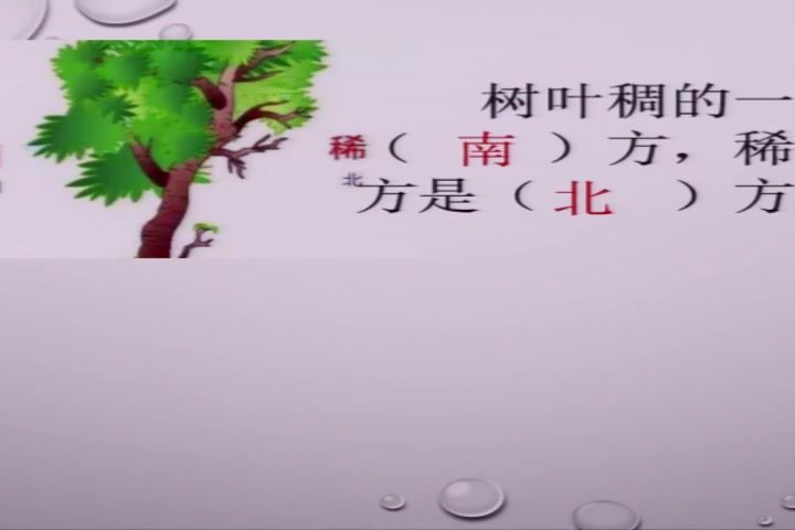 冀教版数学三下《认识东北、西北、东南、西南》吉林宋老师-市一等奖