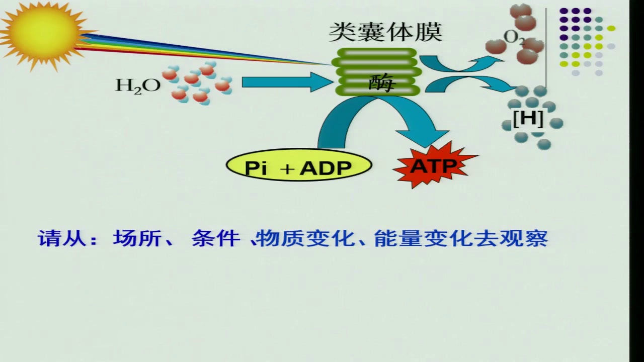 苏教版生物必修1《光合作用的过程》江苏梁老师-市一等奖