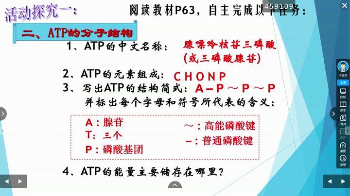 苏教版生物必修1《生命活动的能量“通货”——ATP》江苏王老师-市一等奖