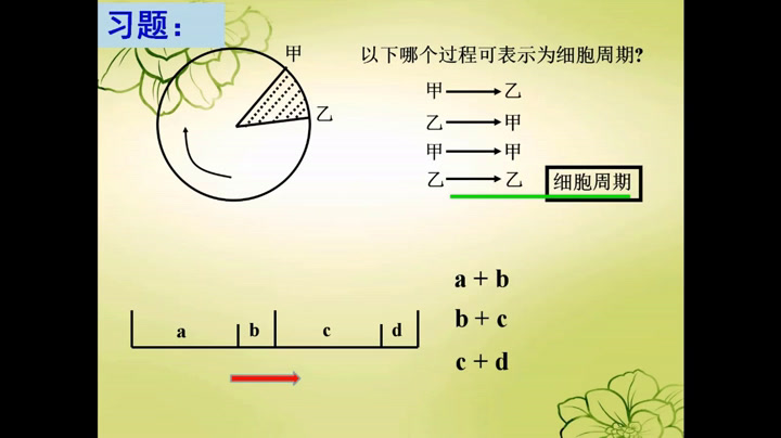 苏教版生物必修1《细胞周期与有丝分裂》江苏相老师-全国一等奖