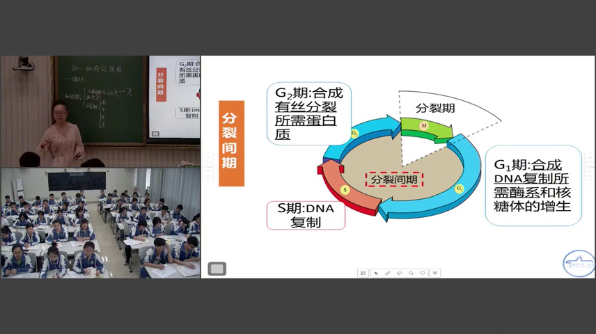 苏教版生物必修1《细胞周期与有丝分裂》湖南王老师-全国一等奖