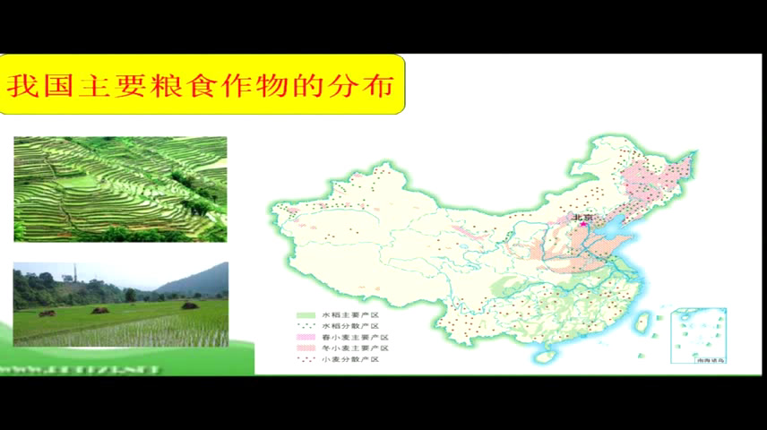 粤人版地理八上《第一节农业》广西潘老师-县级优课