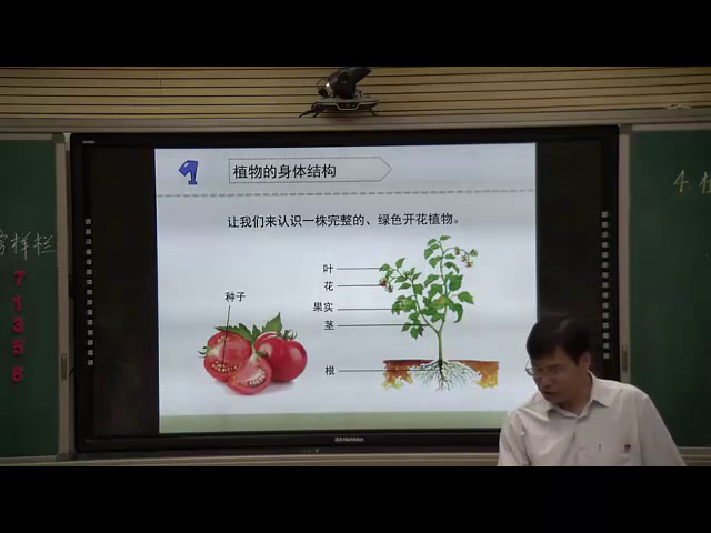 苏教2001版科学三下《4植物和我们》云南老师-全国一等奖