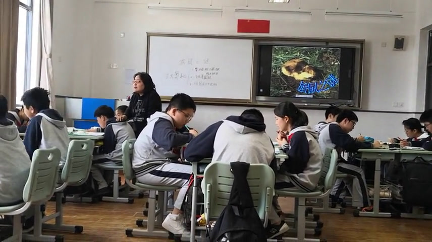 泸教版语文七下《二0旅鼠之谜》上海市老师-